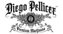 Diego Pellicer - Seattle logo