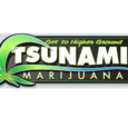 Tsunami Marijuana logo