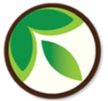 Sensible Alternatives logo