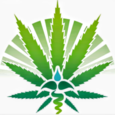 Green Valley Medical logo