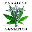 Paradise Genetics logo