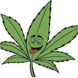 Green Memory logo
