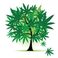 Cannabis Tree logo