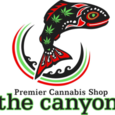 The Canyon logo