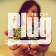 The Plug 20 Cap Collective logo