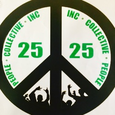 People Collective 25 CAP logo