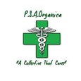 Palm Springs Associated Organica logo