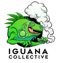 Iguana Collective logo