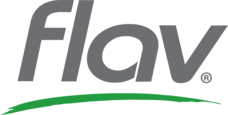 Flav logo