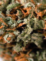 Green Crack  image