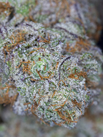 Raspberry Kush image