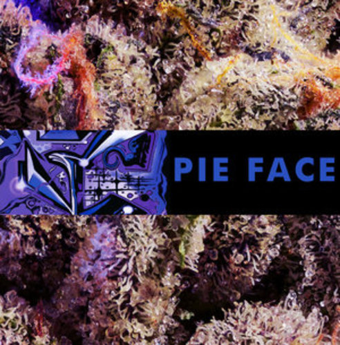 Pie Face image