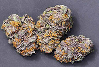 Granddaddy Purple  image