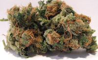 Sour Diesel image