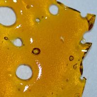 Orange Dream Shatter image