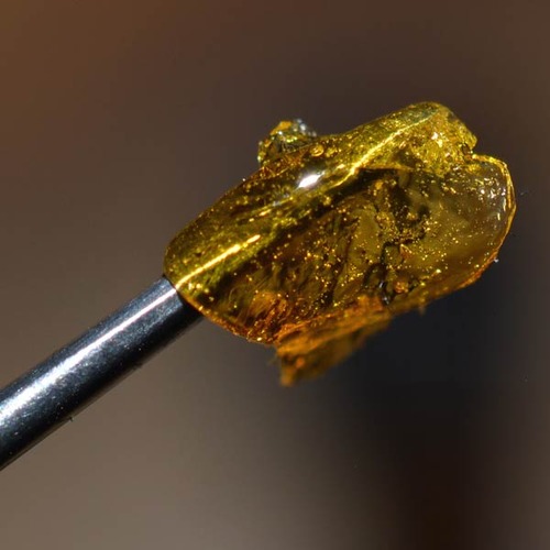 Cannatonic Shatter image