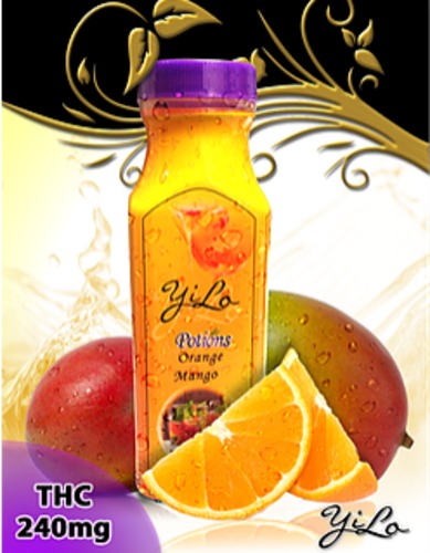 Mango Orange Potion image