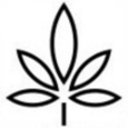 Community Cannabis Clinic logo