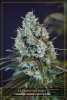 Clementine Kush image