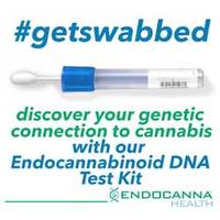 Endocannabinoid DNA Test Kit image
