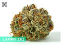 Harmony Dispensary photo